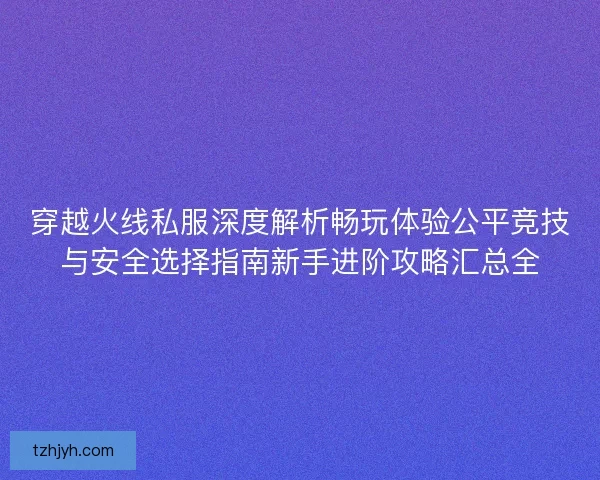 穿越火线私服深度解析畅玩体验公平竞技与安全选择指南新手进阶攻略汇总全